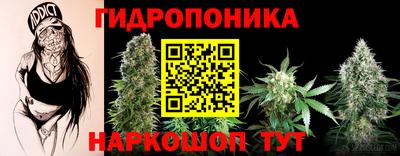 PSILOCYBIN Обнинск