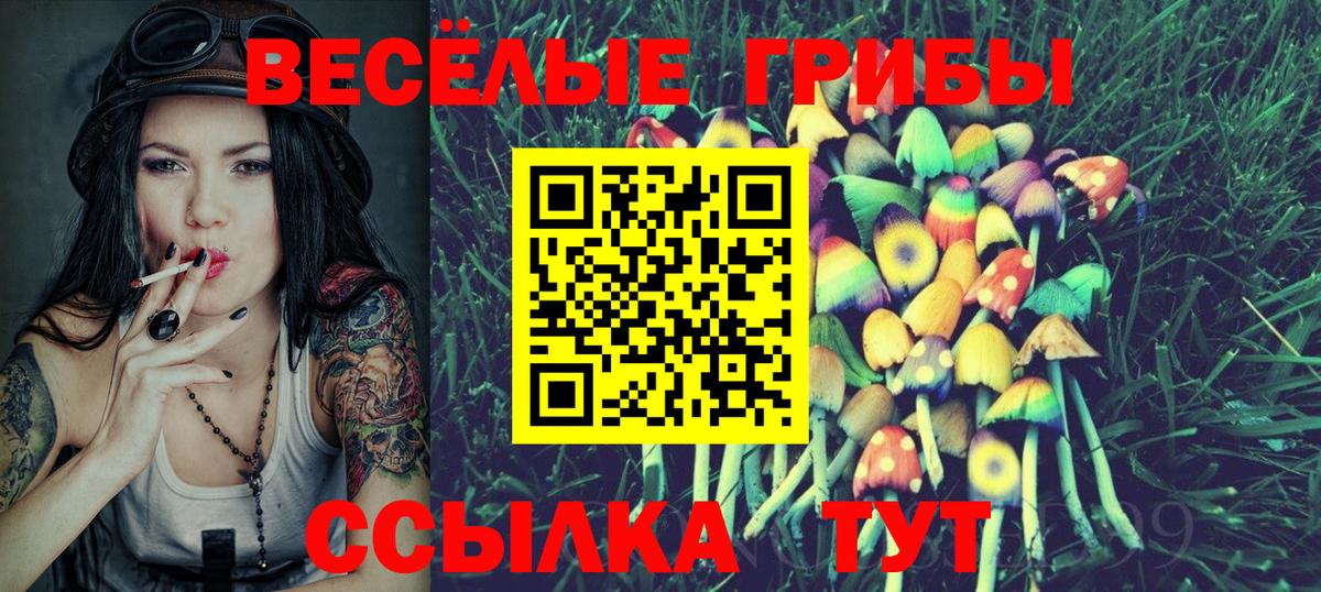Ртищево  Псилоцибиновые грибы Psilocybine cubensis  Вход с VPN 